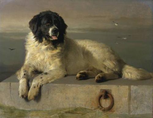Landseer, Edwin Henry A Distinguished Member of the Humane Society Spain oil painting art